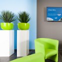 zuil groen pot yucca 5-3930